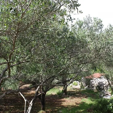 Prázdninový dům Secluded Fisherman's Cove Nevidjansko Polje, Pasman - 11392