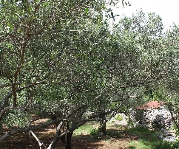 別荘 Secluded Fisherman's Cove Nevidjansko Polje, Pasman - 11392